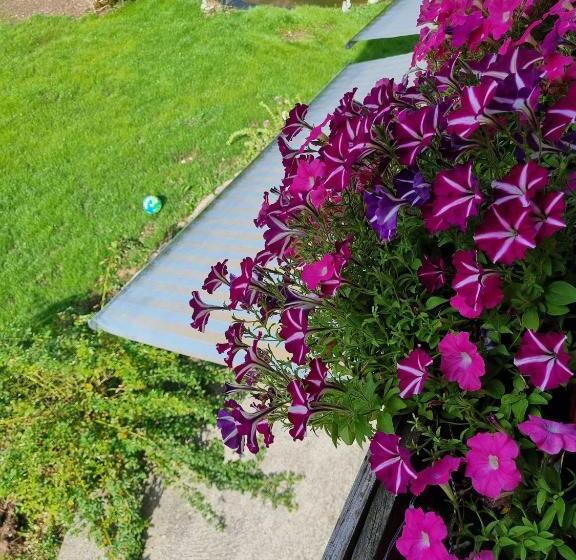 ペンション Apia House