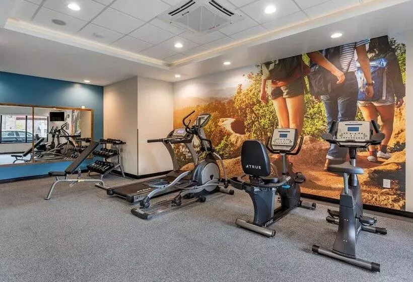 酒店 Best Western Plus Apple Valley Lodge Pigeon Forge