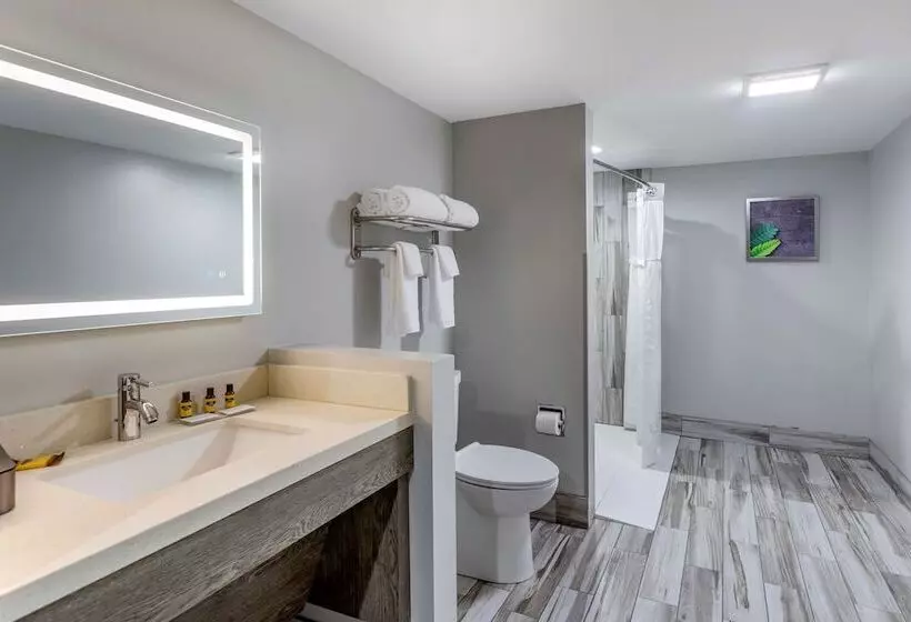 酒店 Best Western Plus Apple Valley Lodge Pigeon Forge