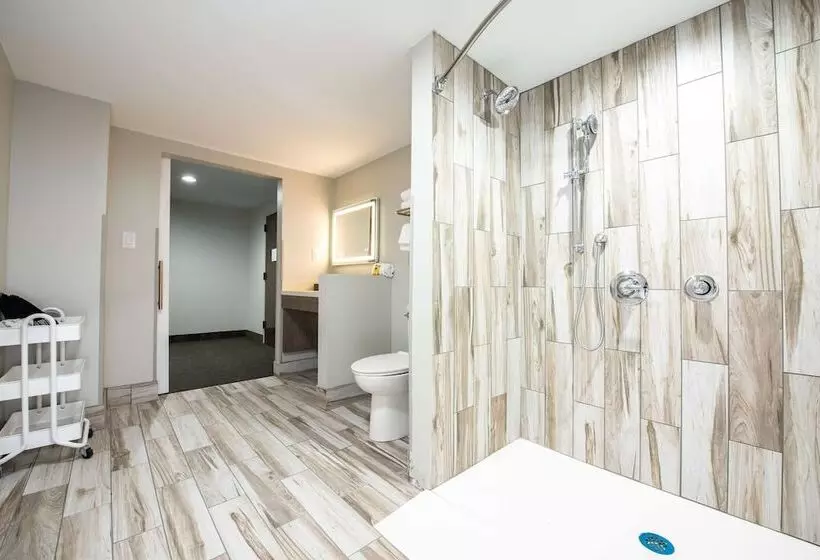 酒店 Best Western Plus Apple Valley Lodge Pigeon Forge