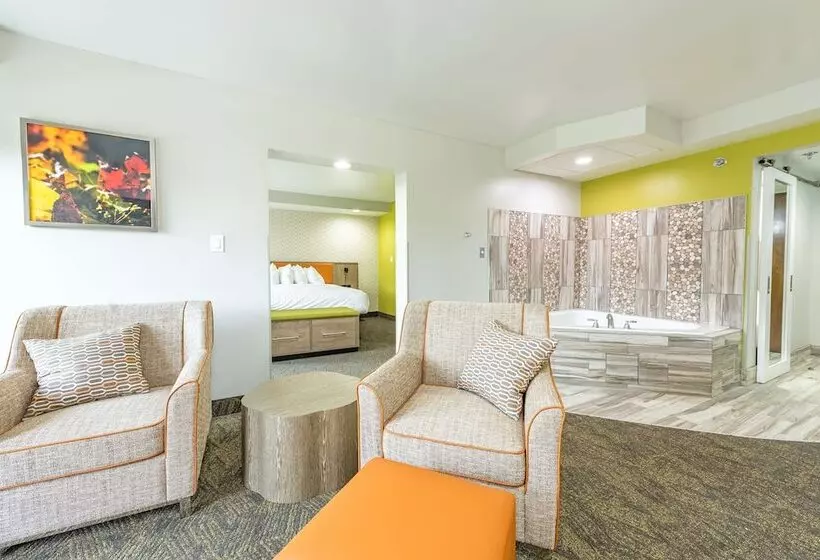 酒店 Best Western Plus Apple Valley Lodge Pigeon Forge