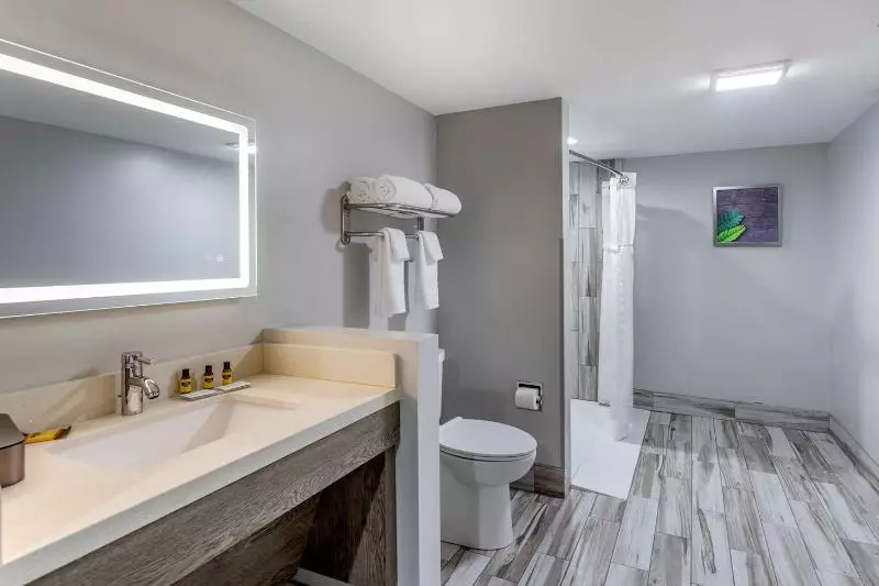 酒店 Best Western Plus Apple Valley Lodge Pigeon Forge