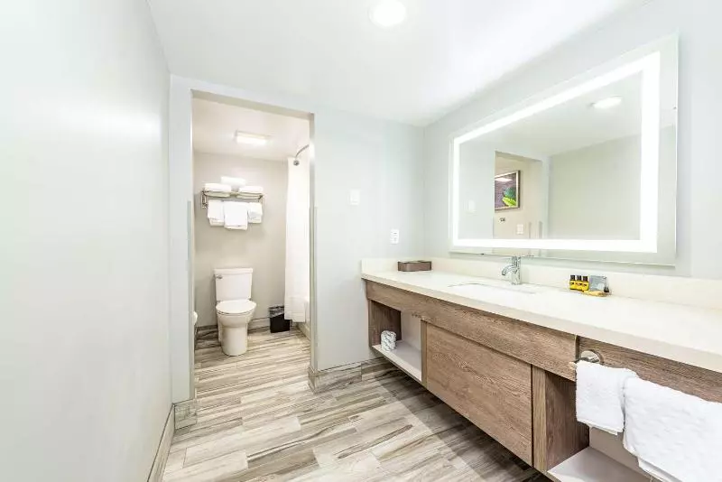 酒店 Best Western Plus Apple Valley Lodge Pigeon Forge