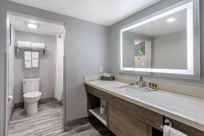 酒店 Best Western Plus Apple Valley Lodge Pigeon Forge