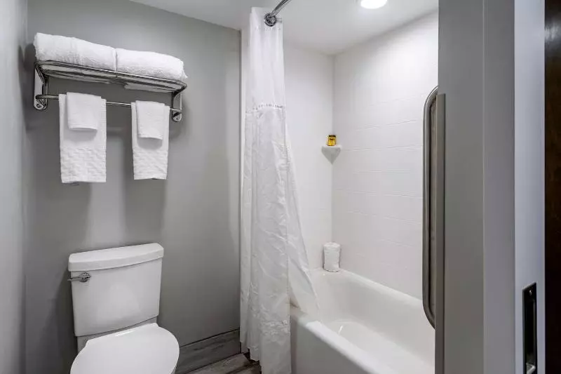 酒店 Best Western Plus Apple Valley Lodge Pigeon Forge