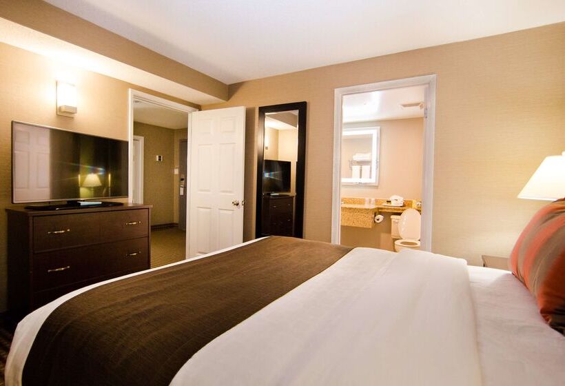 Best Western Plus Ottawa Kanata Hotel And Conference Centre