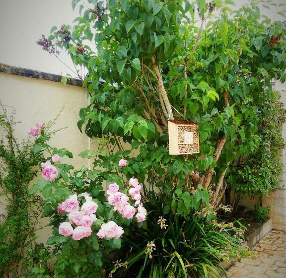 Bed and Breakfast Pony Sweet Home