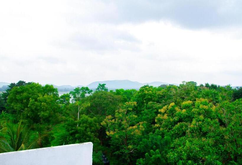 פנסיון Three Elephant Holiday Inn