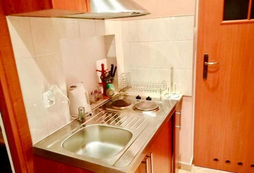 پانسیون Willa Mewa