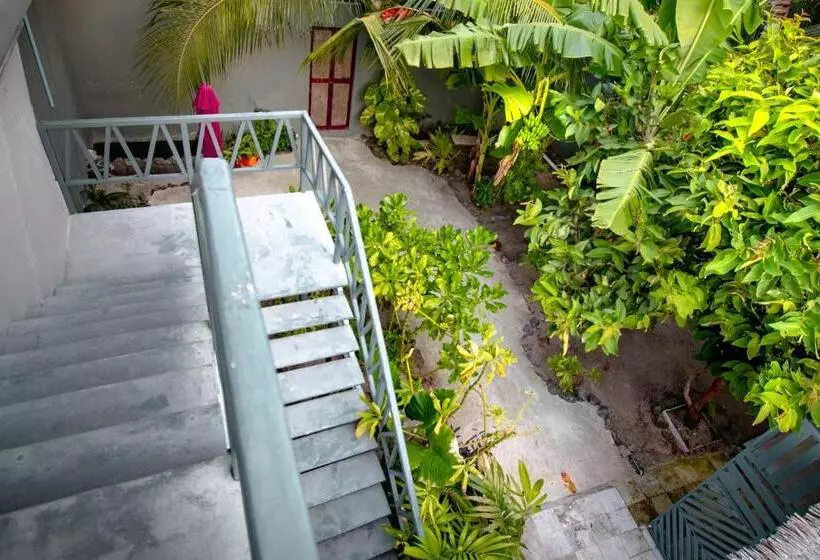 تختخواب و صبحانه Night Star Dhangethi