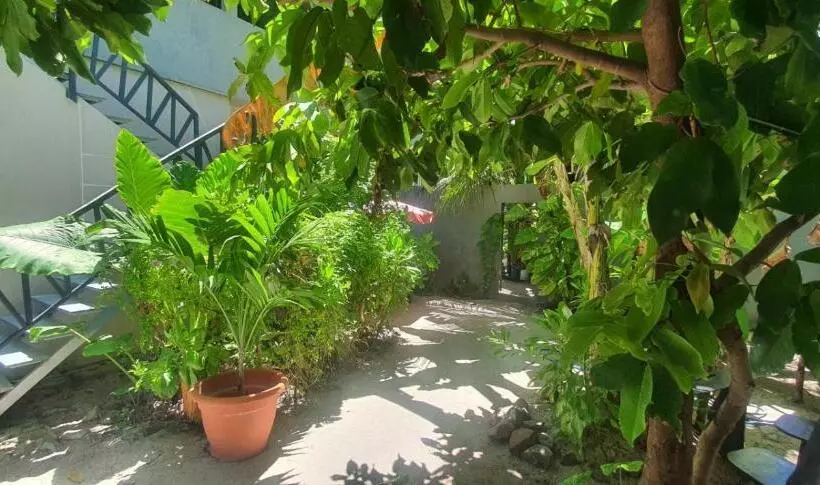 تختخواب و صبحانه Night Star Dhangethi