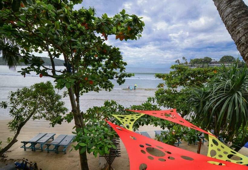 酒店 Palm Leaf Surf Cafe