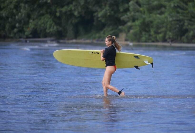 酒店 Palm Leaf Surf Cafe