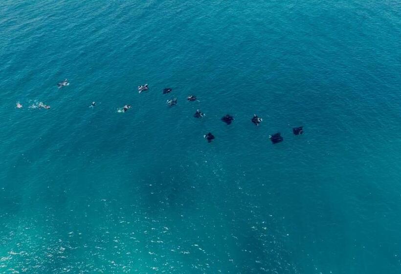 پانسیون Ramzu Villa Thoddoo