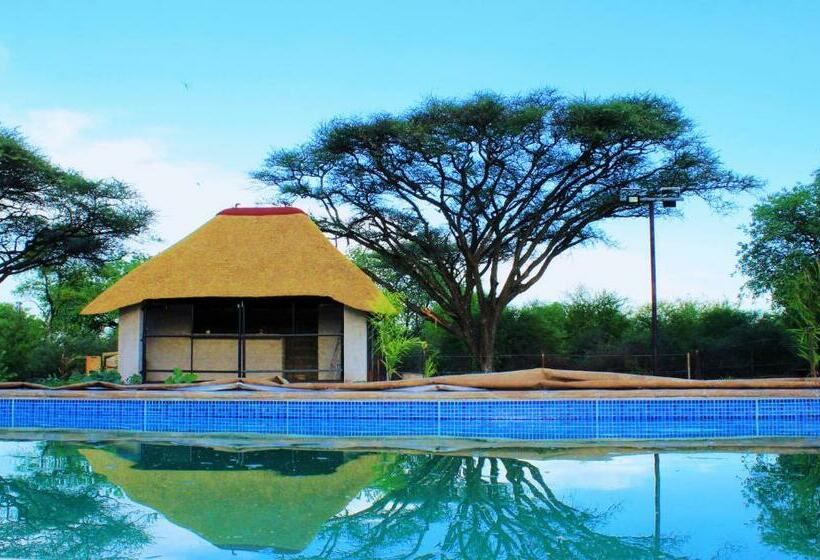 ベッドアンドブレックファースト Abenab Lodge & Tours Cc