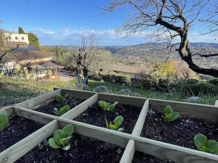 Aamiaismajoitus (B&B) Villa Daphné