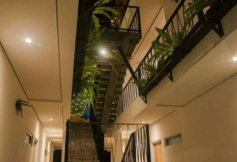 Rion Hostel Bogor