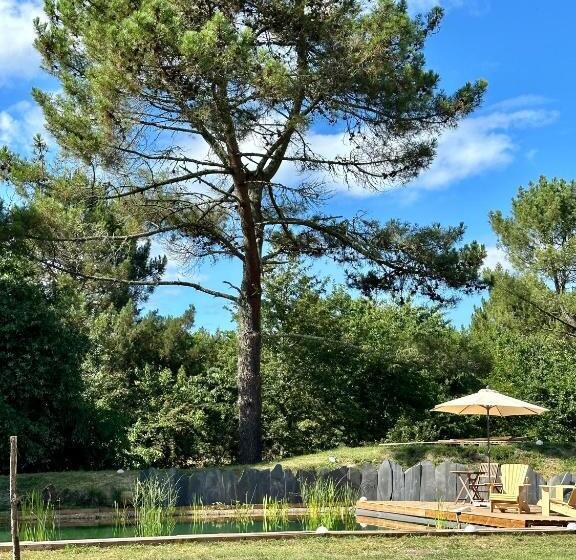 Bed and Breakfast Maison Magnolia