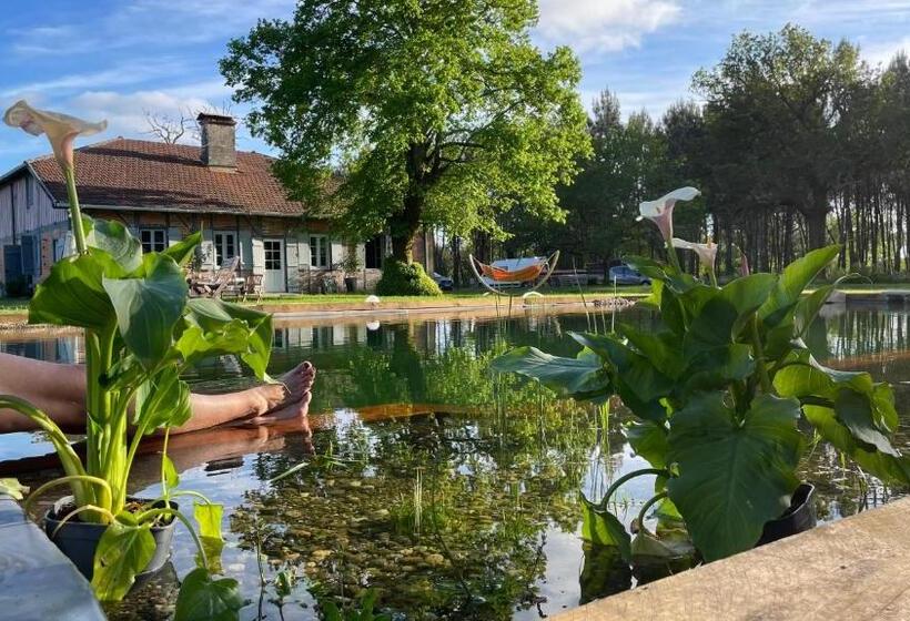 Bed and Breakfast Maison Magnolia