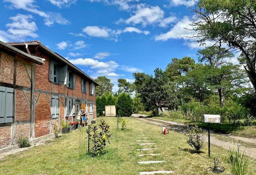 Bed and Breakfast Maison Magnolia