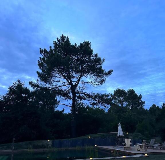 Bed and Breakfast Maison Magnolia