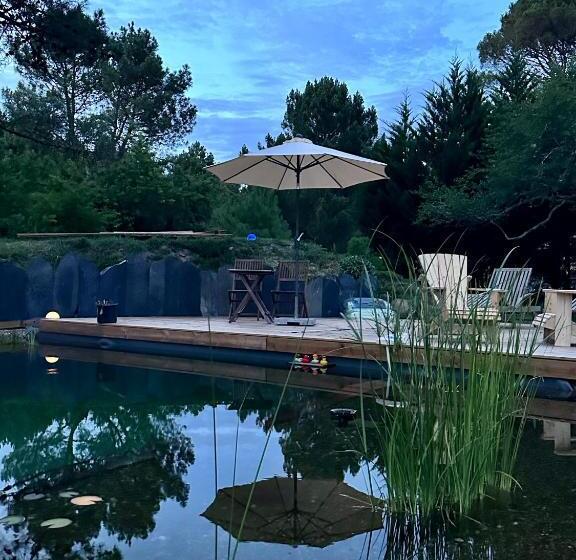 Bed and Breakfast Maison Magnolia