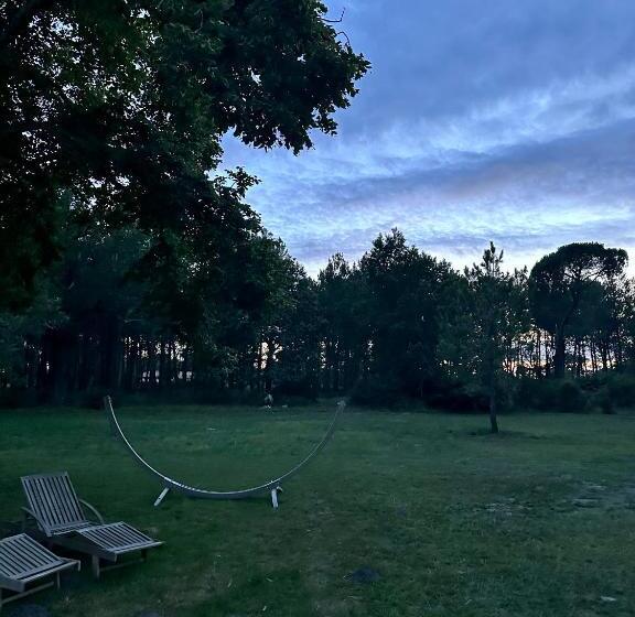 Bed and Breakfast Maison Magnolia