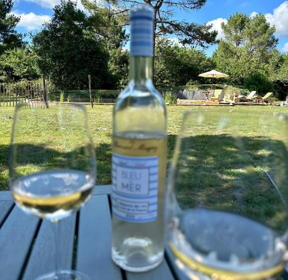 Bed and Breakfast Maison Magnolia