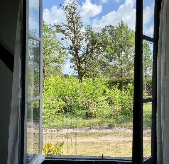 Bed and Breakfast Maison Magnolia