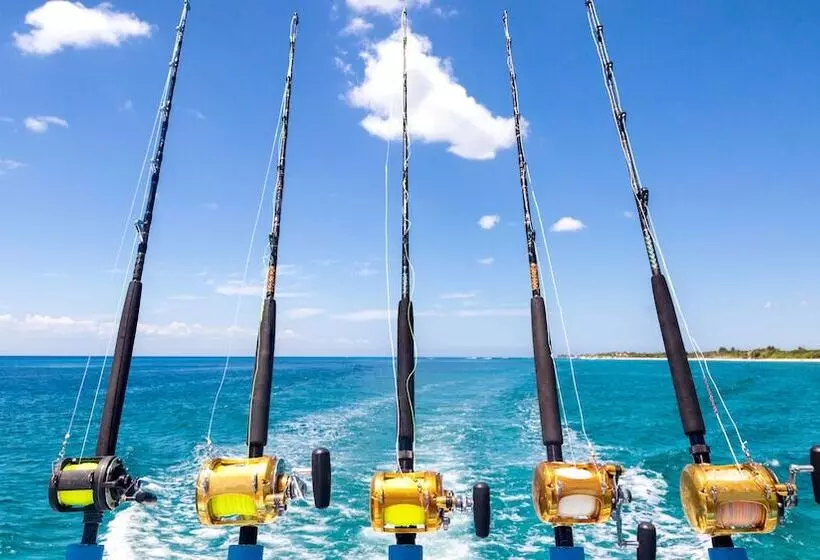 ホテル Puerto Libre