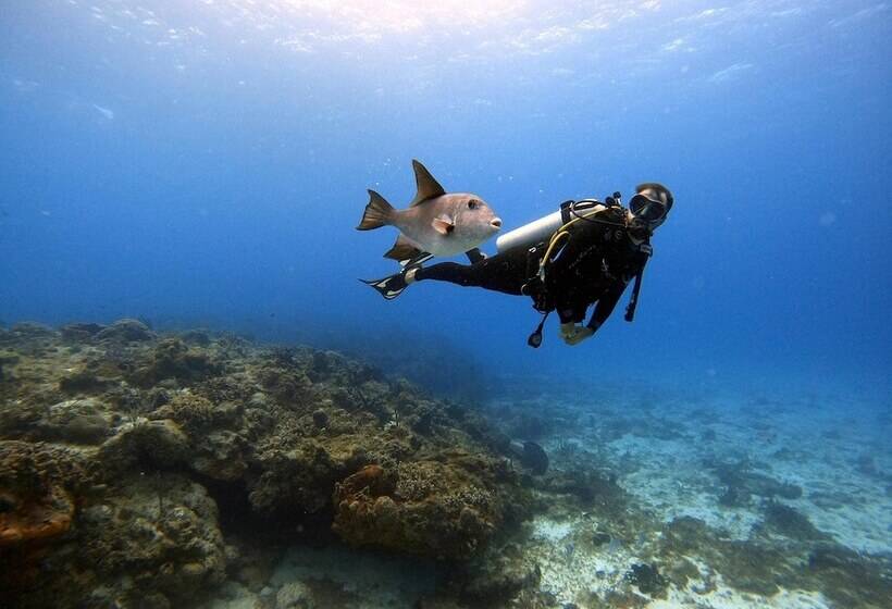 فندق Puerto Libre