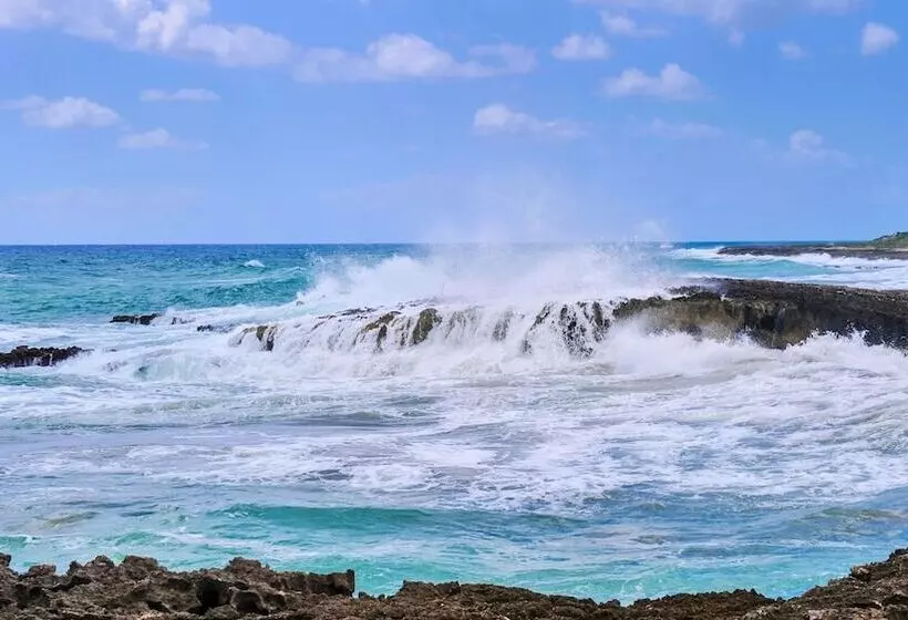 ホテル Puerto Libre