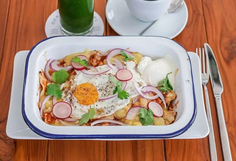 ホテル Puerto Libre