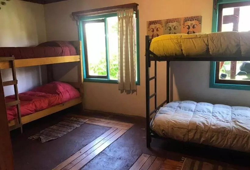 Pension Hostel Raiz