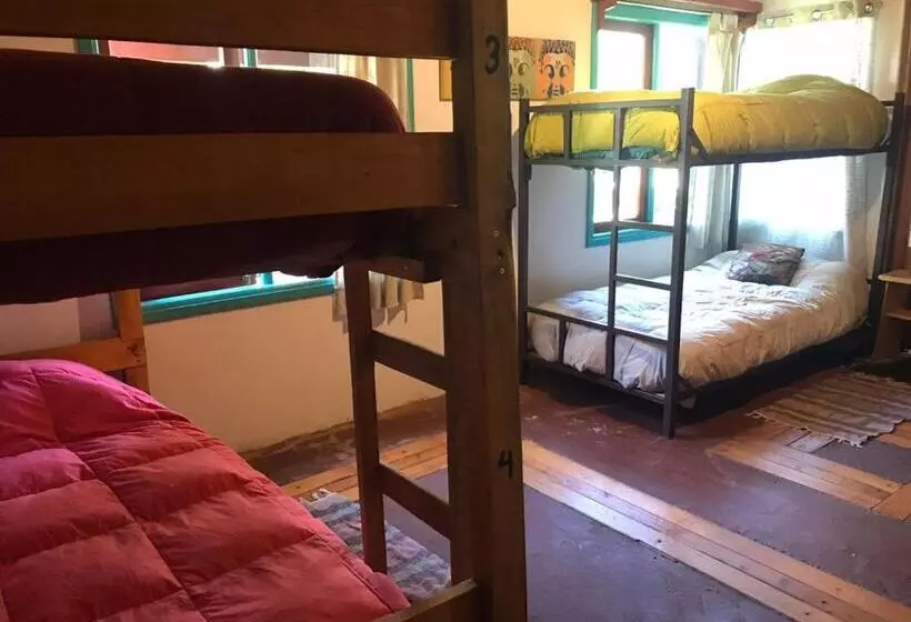 Pension Hostel Raiz