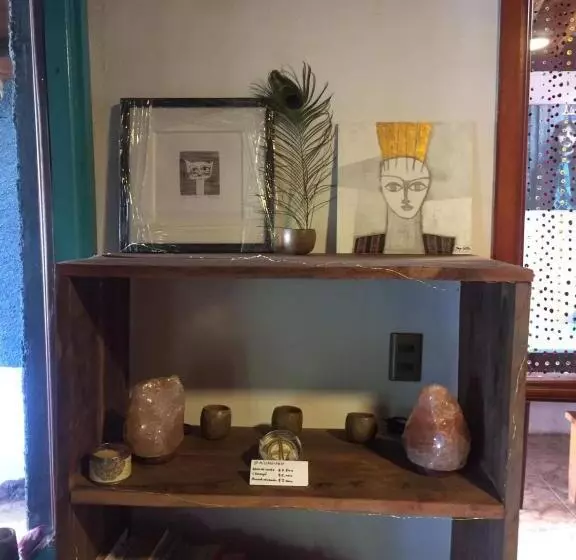 Pension Hostel Raiz