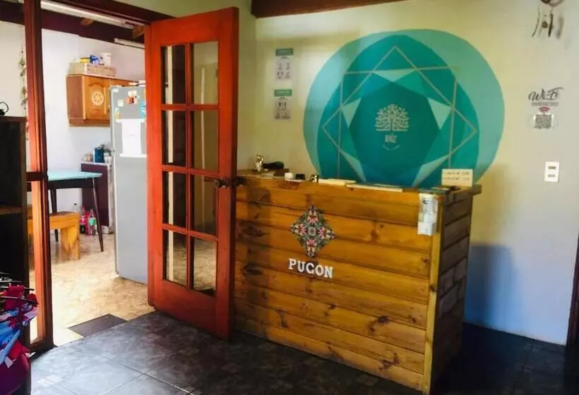 Pension Hostel Raiz