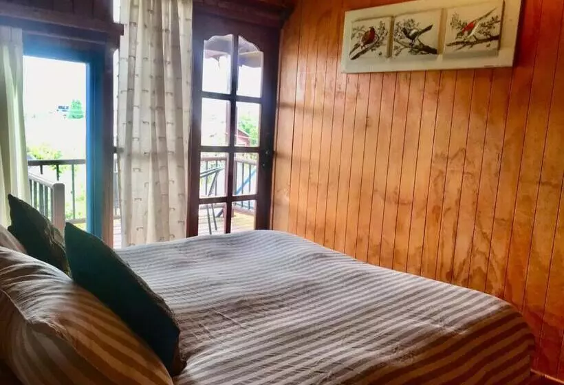 Pension Hostel Raiz