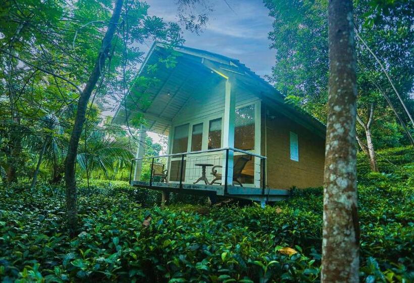 منتجع Ilukketiya Tea Chalets