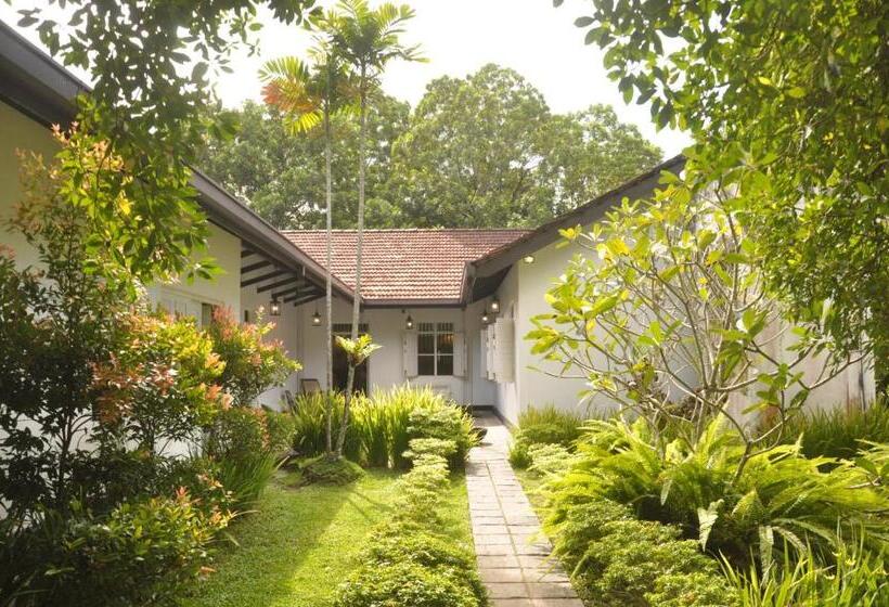 منتجع Ilukketiya Tea Chalets