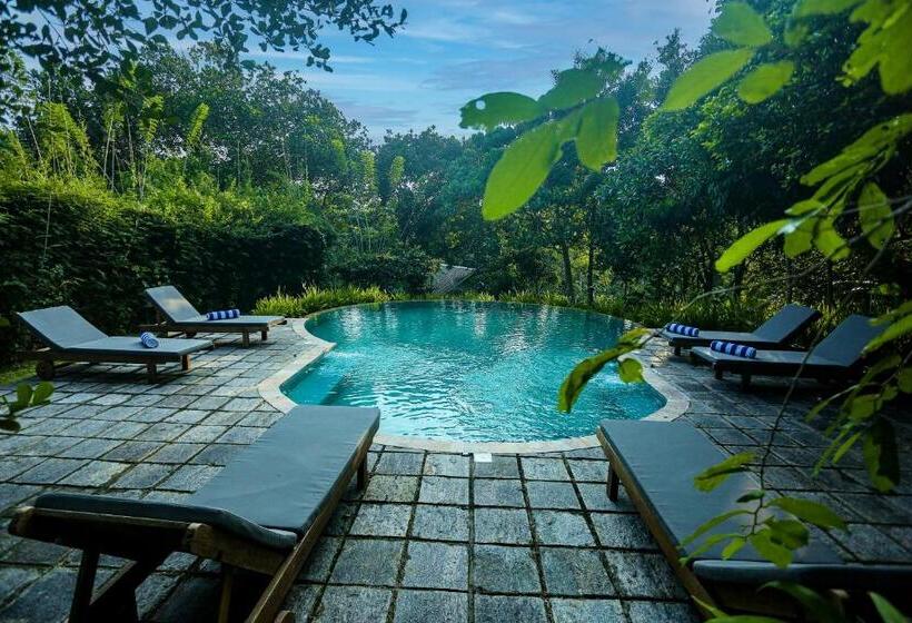 منتجع Ilukketiya Tea Chalets