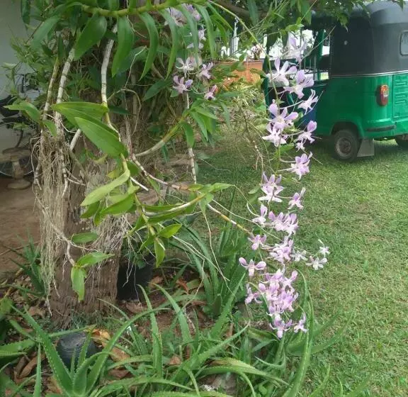 Vijai Resort