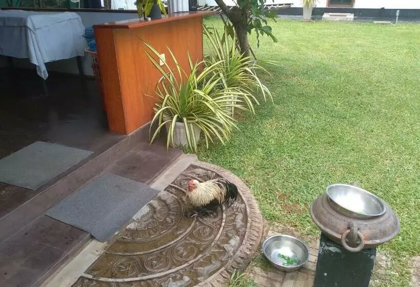 Vijai Resort