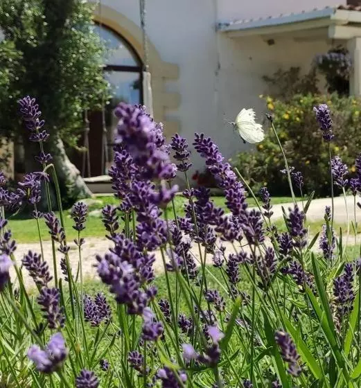 Masseria Salentina Costarella