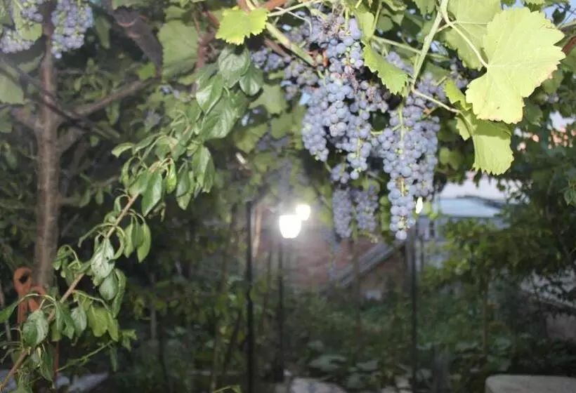 پانسیون Guest House Katerina