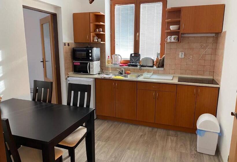 ペンション Penzion Trödler