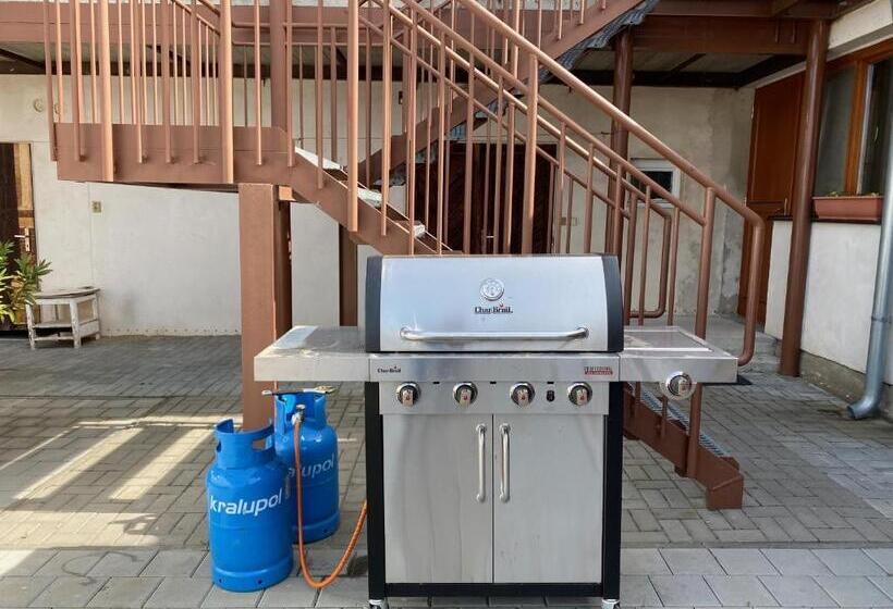 ペンション Penzion Trödler