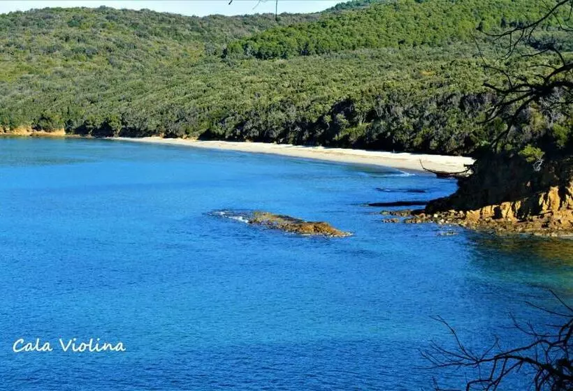 Aamiaismajoitus (B&B) Podere 269