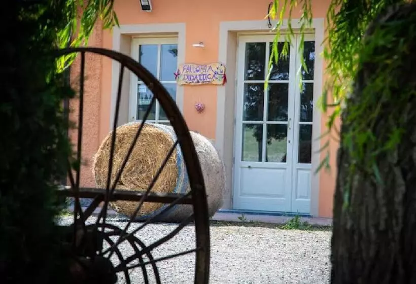 ホテル Agriturismo La Valle Della Lavanda Podere Mezzastrada