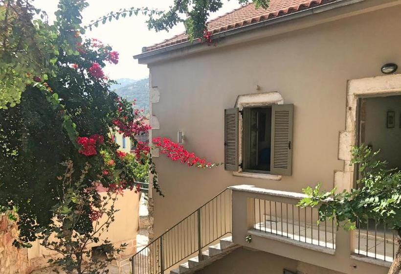 هتل Alicelia Boutique Inn